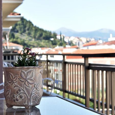 Κεντρικό Και Ευρύχωρο Οροφοδιαμέρισμα Kastoria Buitenkant foto