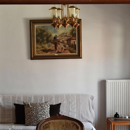 Κεντρικό Και Ευρύχωρο Οροφοδιαμέρισμα Kastoria Buitenkant foto